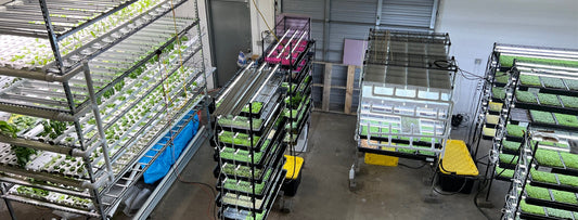 How We Grow Fresh, Nutrient-Rich Food Indoors - Enhanced Earth Farming