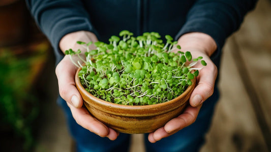 Improve Your Nutrition with Microgreens from the Produce Aisle - Enhanced Earth Farming