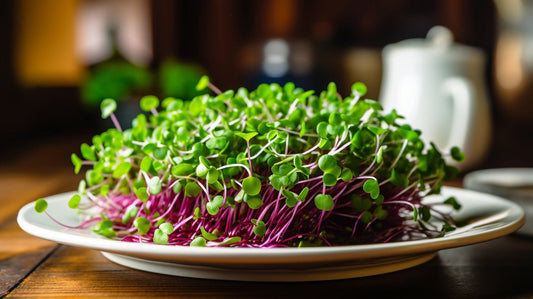 Unlock the Chef's Vault: 7 Microgreen Tips You Need to Know! - Enhanced Earth Farming