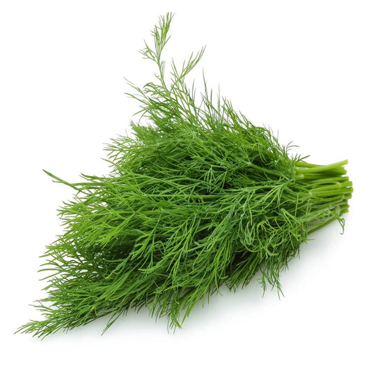 Fresh Fennel - 1oz - Enhanced Earth Farming