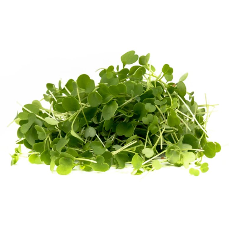 Arugula - Enhanced Earth Farming